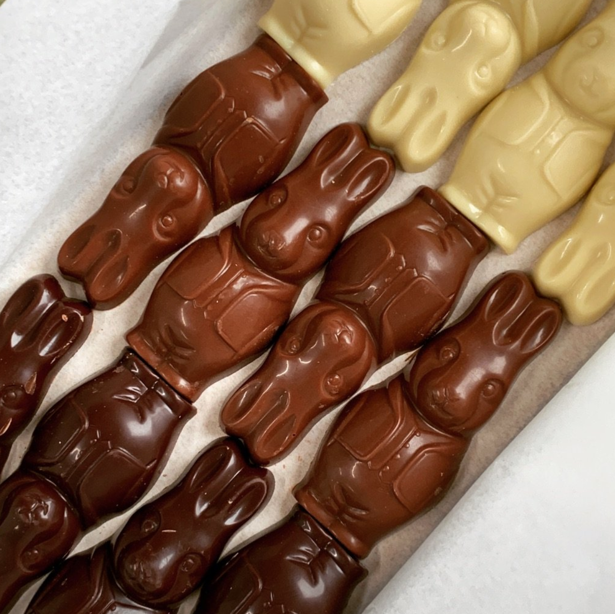 Spencer Cocoa Easter Bunnies