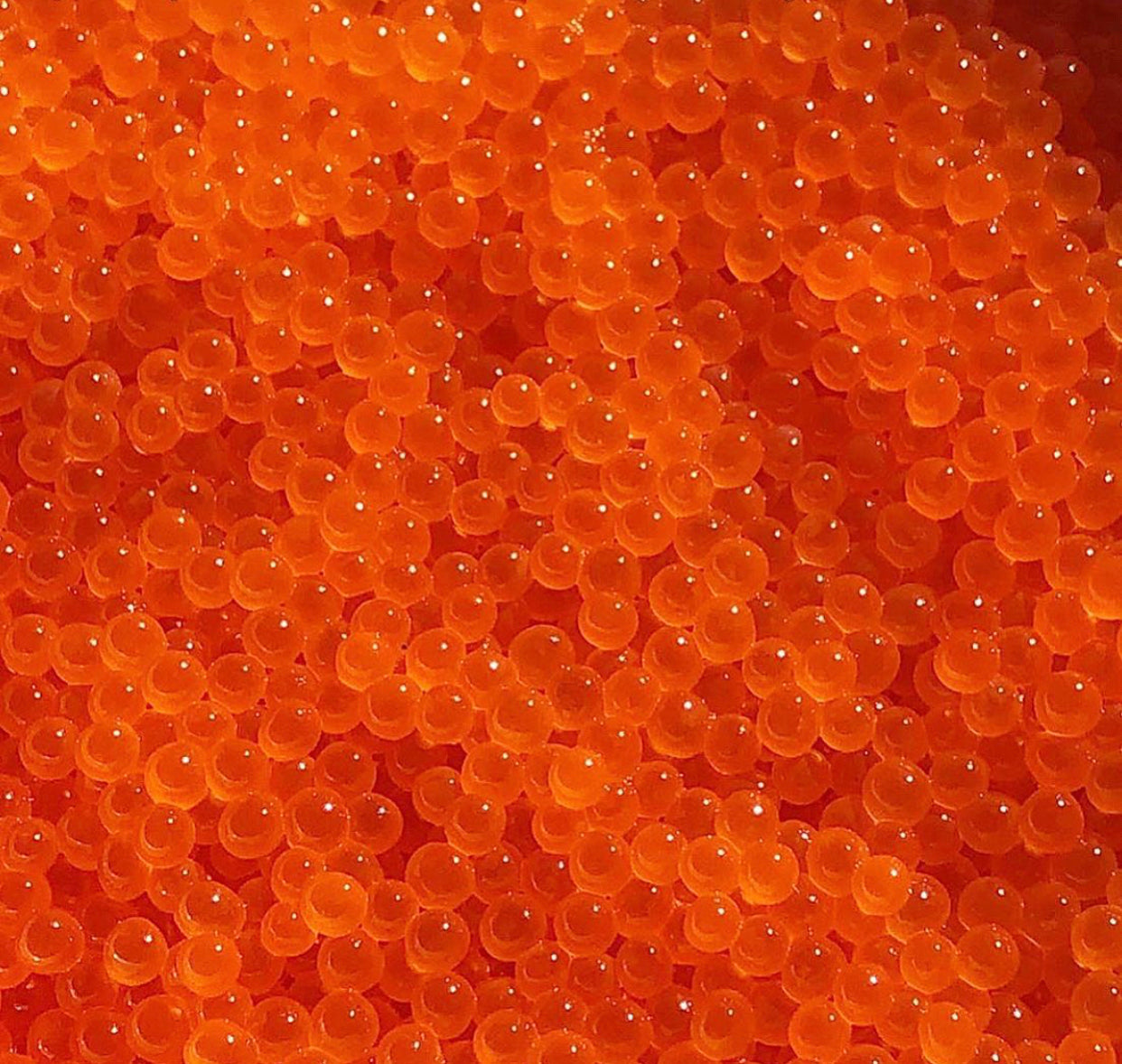 Yarra Valley First Harvest Salmon Roe