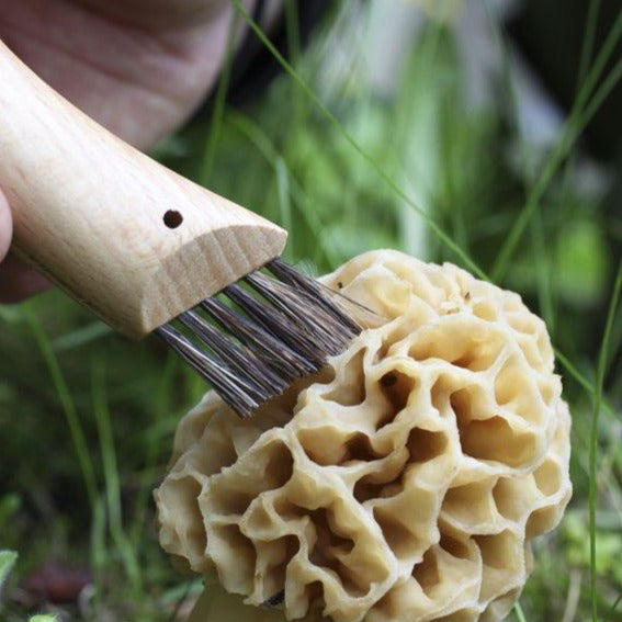 Opinel Mushroom Knife